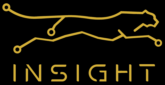 Insight PCB Insight PCB