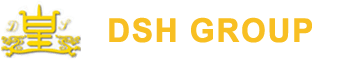 DSH Group DSH Group